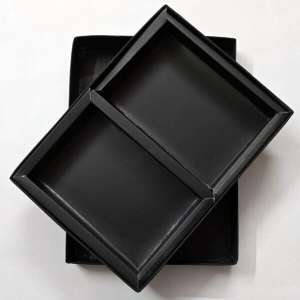 Passport combo Blank BOX